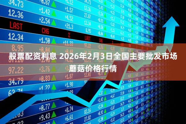 股票配资利息 2026年2月3日全国主要批发市场蘑菇价格行情