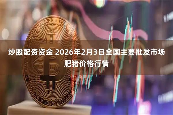 炒股配资资金 2026年2月3日全国主要批发市场肥猪价格行情