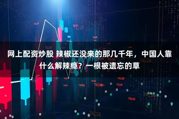 网上配资炒股 辣椒还没来的那几千年，中国人靠什么解辣瘾？一根被遗忘的草