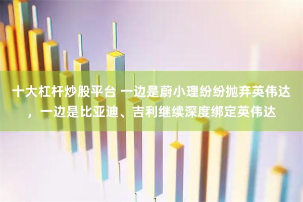 十大杠杆炒股平台 一边是蔚小理纷纷抛弃英伟达，一边是比亚迪、吉利继续深度绑定英伟达